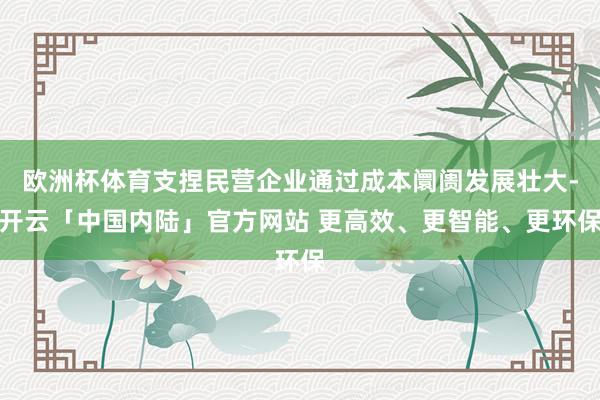欧洲杯体育支捏民营企业通过成本阛阓发展壮大-开云「中国内陆」官方网站 更高效、更智能、更环保