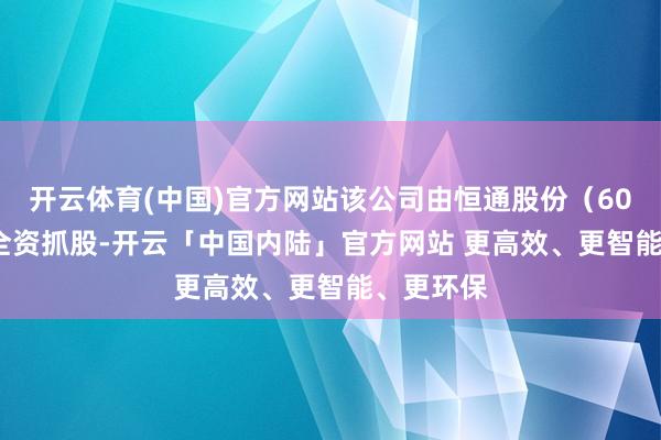 开云体育(中国)官方网站该公司由恒通股份（603223）全资抓股-开云「中国内陆」官方网站 更高效、更智能、更环保