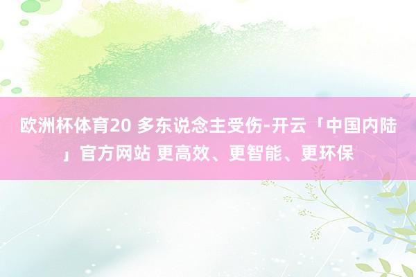 欧洲杯体育20 多东说念主受伤-开云「中国内陆」官方网站 更高效、更智能、更环保
