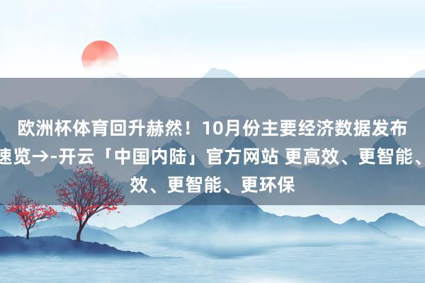 欧洲杯体育回升赫然！10月份主要经济数据发布，一图速览→-开云「中国内陆」官方网站 更高效、更智能、更环保