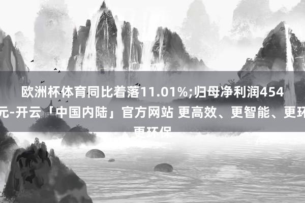 欧洲杯体育同比着落11.01%;归母净利润454万元-开云「中国内陆」官方网站 更高效、更智能、更环保
