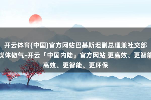 开云体育(中国)官方网站巴基斯坦副总理兼社交部长达尔向媒体傲气-开云「中国内陆」官方网站 更高效、更智能、更环保