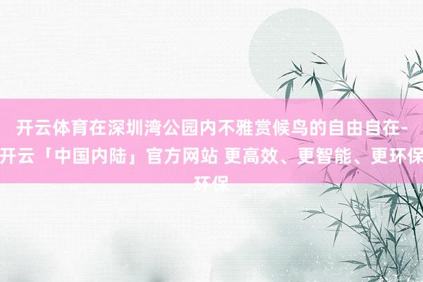 开云体育在深圳湾公园内不雅赏候鸟的自由自在-开云「中国内陆」官方网站 更高效、更智能、更环保
