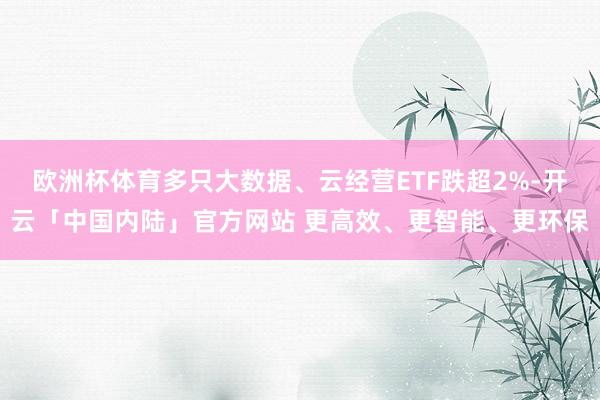 欧洲杯体育多只大数据、云经营ETF跌超2%-开云「中国内陆」官方网站 更高效、更智能、更环保