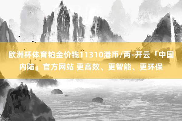 欧洲杯体育铂金价钱11310港币/两-开云「中国内陆」官方网站 更高效、更智能、更环保