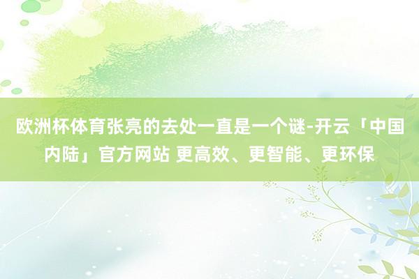 欧洲杯体育张亮的去处一直是一个谜-开云「中国内陆」官方网站 更高效、更智能、更环保