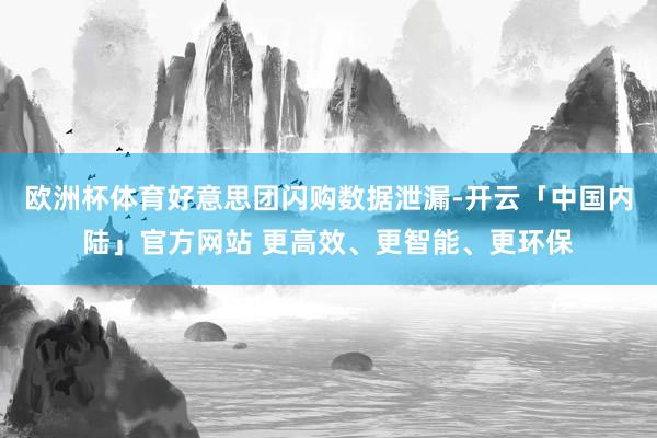 欧洲杯体育好意思团闪购数据泄漏-开云「中国内陆」官方网站 更高效、更智能、更环保