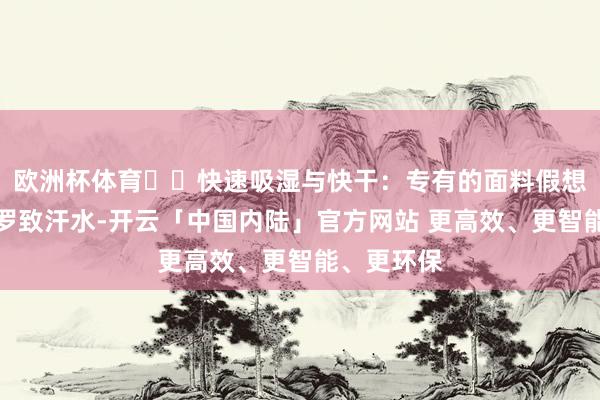 欧洲杯体育❇️快速吸湿与快干:专有的面料假想确保快速罗致汗水-开云「中国内陆」官方网站 更高效、更智能、更环保