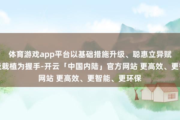 体育游戏app平台以基础措施升级、聪惠立异赋能、洞开能级栽植为握手-开云「中国内陆」官方网站 更高效、更智能、更环保