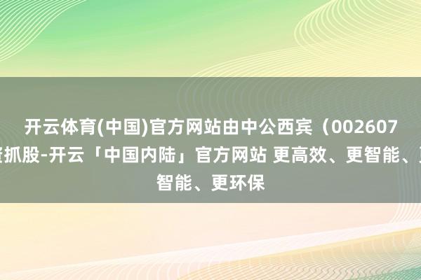 开云体育(中国)官方网站由中公西宾（002607）全资抓股-开云「中国内陆」官方网站 更高效、更智能、更环保