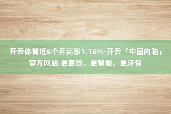 开云体育近6个月高涨1.16%-开云「中国内陆」官方网站 更高效、更智能、更环保