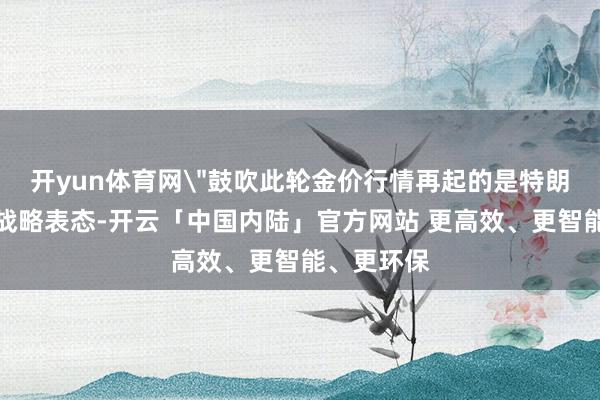 开yun体育网