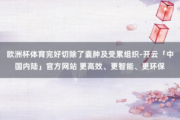 欧洲杯体育完好切除了囊肿及受累组织-开云「中国内陆」官方网站 更高效、更智能、更环保