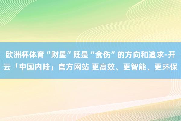 欧洲杯体育“财星”既是“食伤”的方向和追求-开云「中国内陆」官方网站 更高效、更智能、更环保