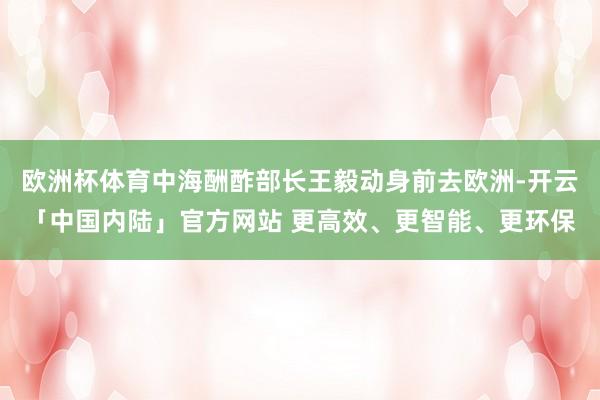 欧洲杯体育中海酬酢部长王毅动身前去欧洲-开云「中国内陆」官方网站 更高效、更智能、更环保