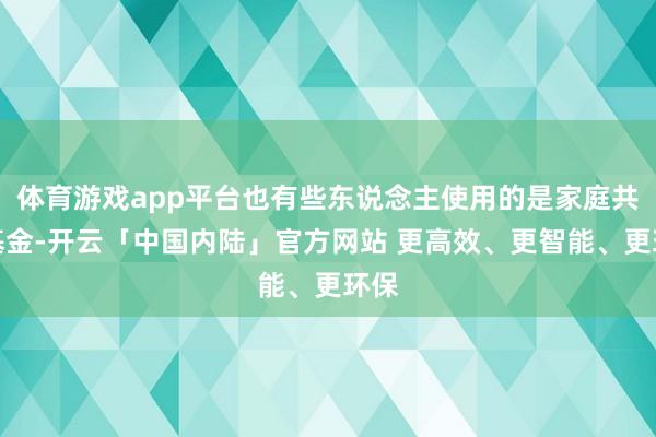体育游戏app平台也有些东说念主使用的是家庭共有基金-开云「中国内陆」官方网站 更高效、更智能、更环保