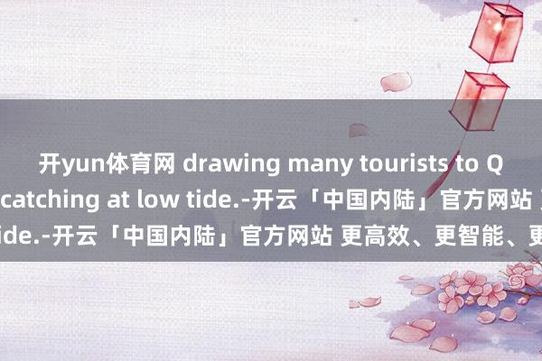 开yun体育网 drawing many tourists to Qingdao to enjoy crab-catching at low tide.-开云「中国内陆」官方网站 更高效、更智能、更环保