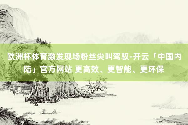 欧洲杯体育激发现场粉丝尖叫驾驭-开云「中国内陆」官方网站 更高效、更智能、更环保
